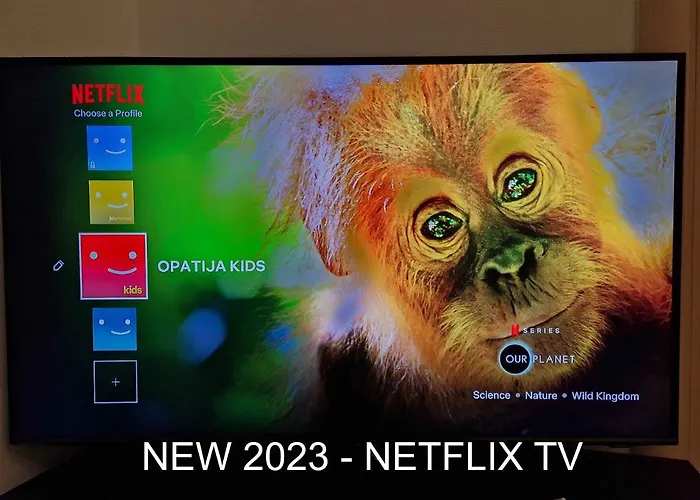 Pet friendly Apartment Milani With Private Garage Opatija