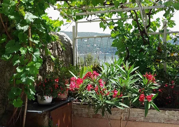 Huisdiervriedelijke Apartment Krizanec Opatija