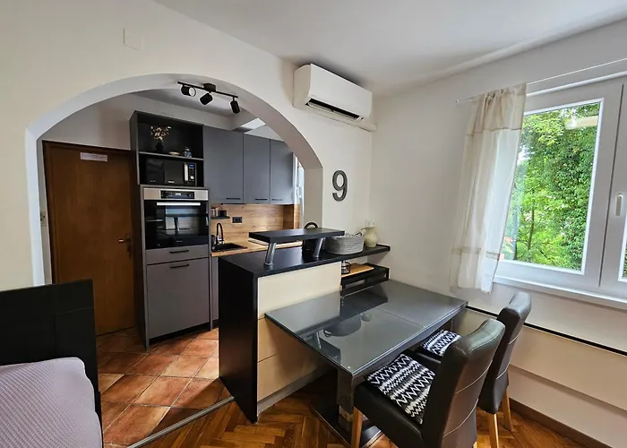 Apartman Ena, Strict Center, Sea View Abbazia che accetta animali